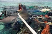 /album/fotogaleria-galeria/fotos-prezi-comprimidas-45-jpg1/